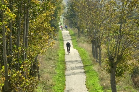 Camino anillo verde vitoria