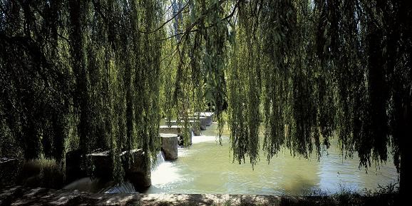Parque zadorra anillo verde