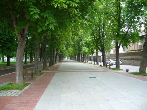 Paseo cervantes vitoria